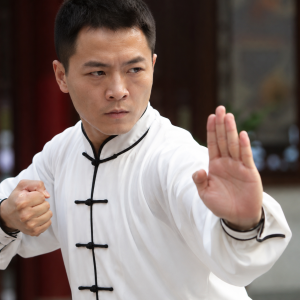 Chinese Martial Arts — image 4