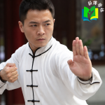 中國武術表演