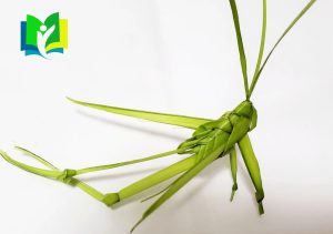 草編